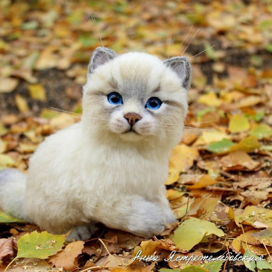 Russian Artist Creates Incredibly Realistic Little Animals Made Entirely Of Wool (New Pics)