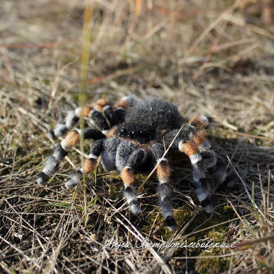 Russian Artist Creates Incredibly Realistic Little Animals Made Entirely Of Wool (New Pics)