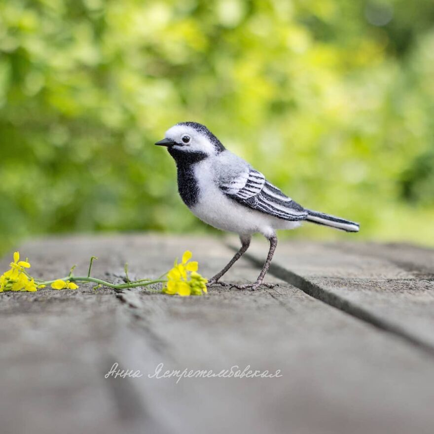 Russian Artist Creates Incredibly Realistic Little Animals Made Entirely Of Wool (New Pics)