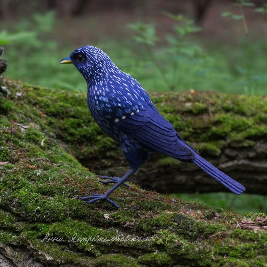 Russian Artist Creates Incredibly Realistic Little Animals Made Entirely Of Wool (New Pics)