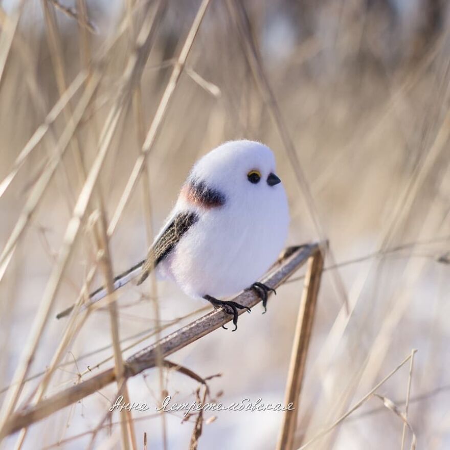 Russian Artist Creates Incredibly Realistic Little Animals Made Entirely Of Wool (New Pics)