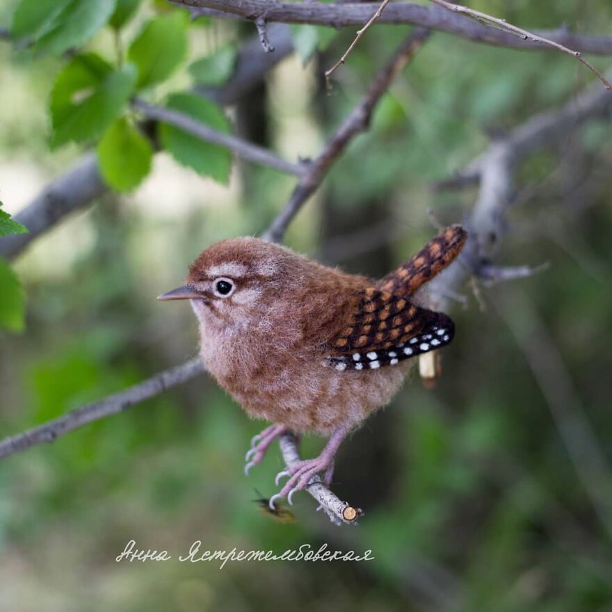 Russian Artist Creates Incredibly Realistic Little Animals Made Entirely Of Wool (New Pics)