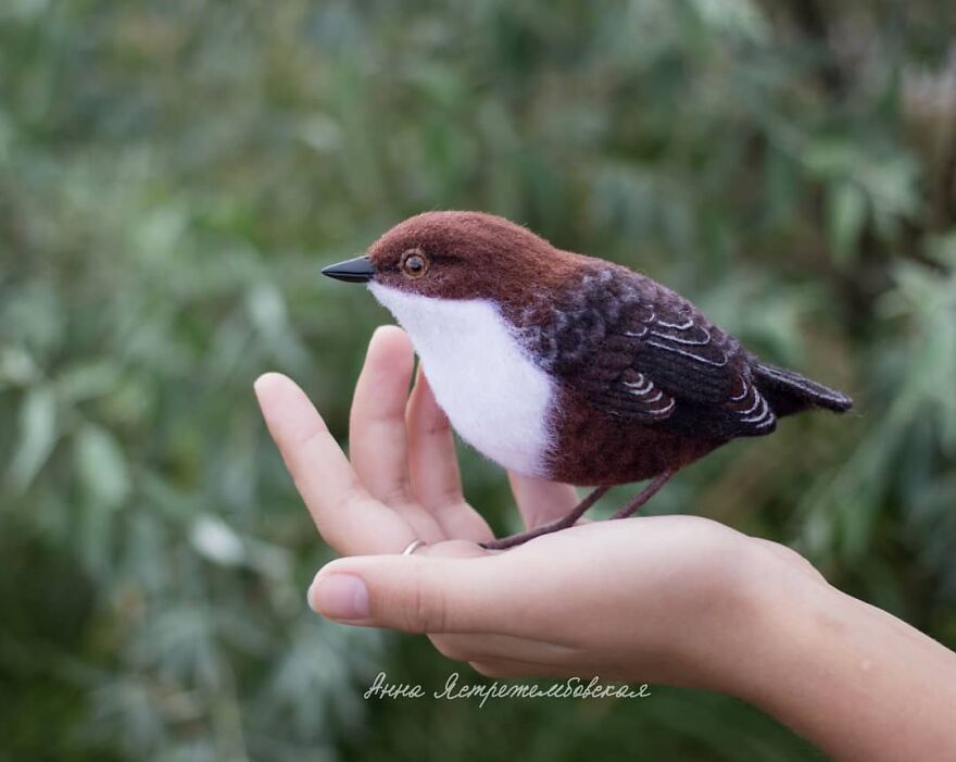 Russian Artist Creates Incredibly Realistic Little Animals Made Entirely Of Wool (New Pics)