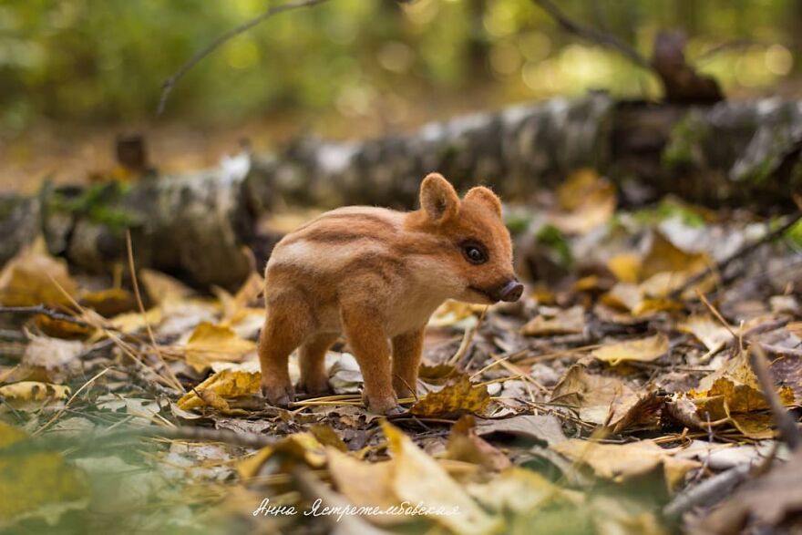 Russian Artist Creates Incredibly Realistic Little Animals Made Entirely Of Wool (New Pics)