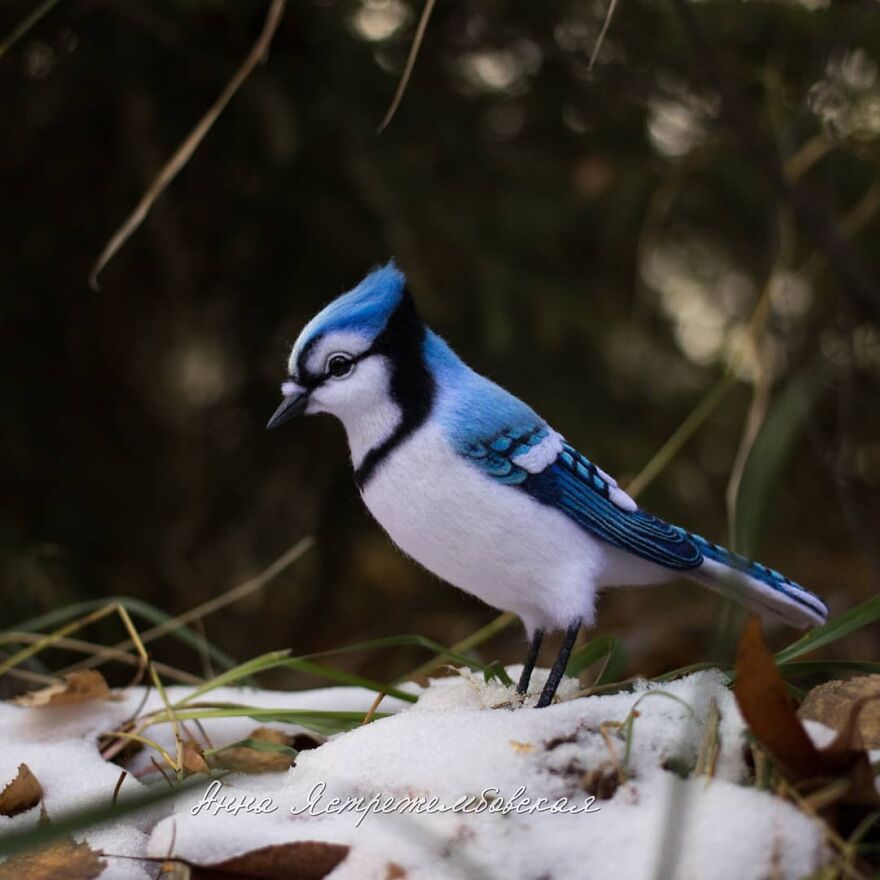Russian Artist Creates Incredibly Realistic Little Animals Made Entirely Of Wool (New Pics)