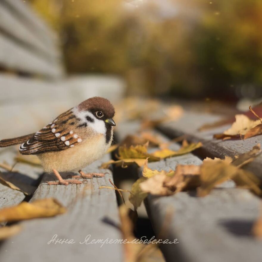 Russian Artist Creates Incredibly Realistic Little Animals Made Entirely Of Wool (New Pics)