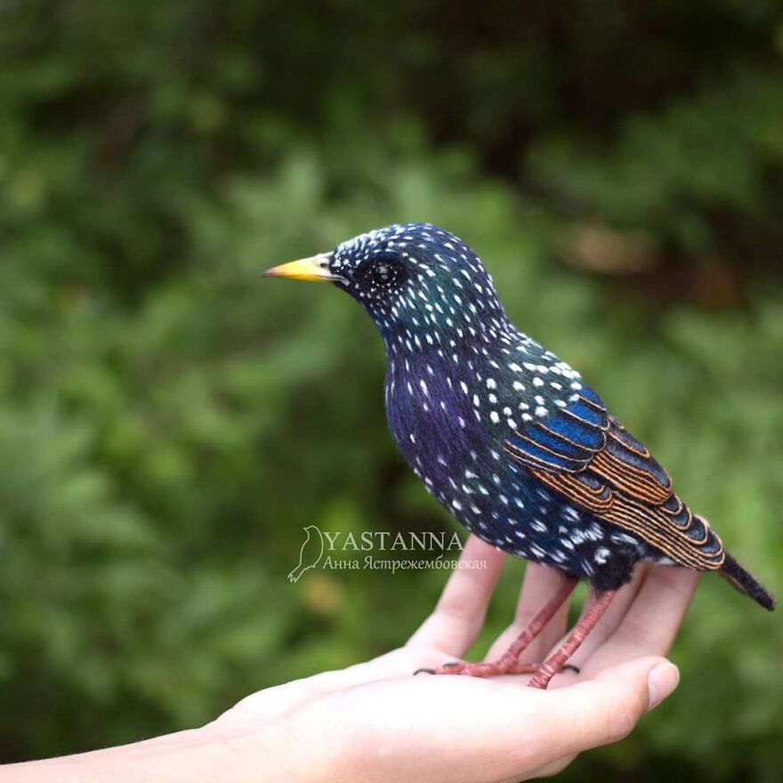 Russian Artist Creates Incredibly Realistic Little Animals Made Entirely Of Wool (New Pics)