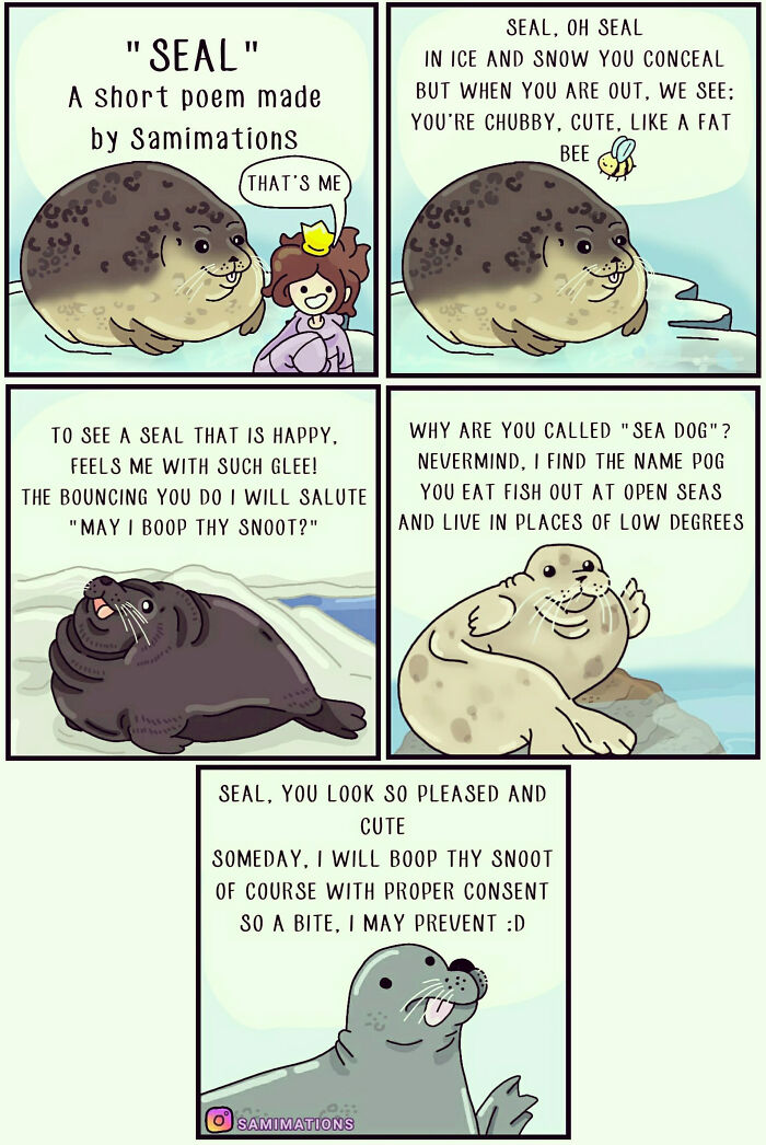 Seal: The Infamous Water Doggo
