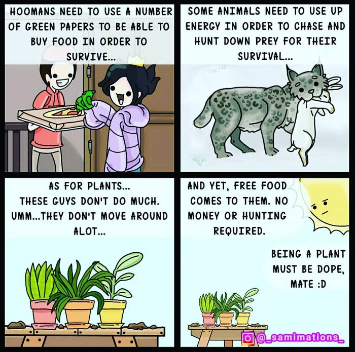 This Was A Random Thought I Had