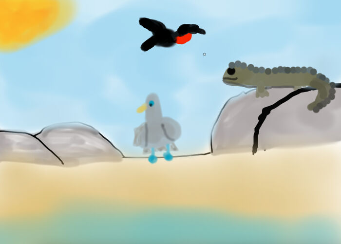 Galapagos Blue-Footed Booby And A Magnificent Frigate Bird (Don't Pay To Much Attention To The Marine Iguana)