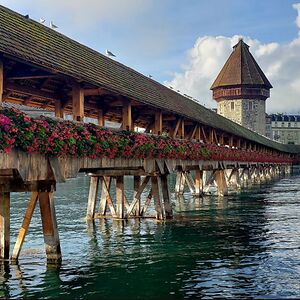 rachelrogovoy avatar