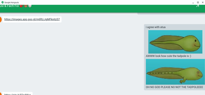 What Happened To The Tadpole D: