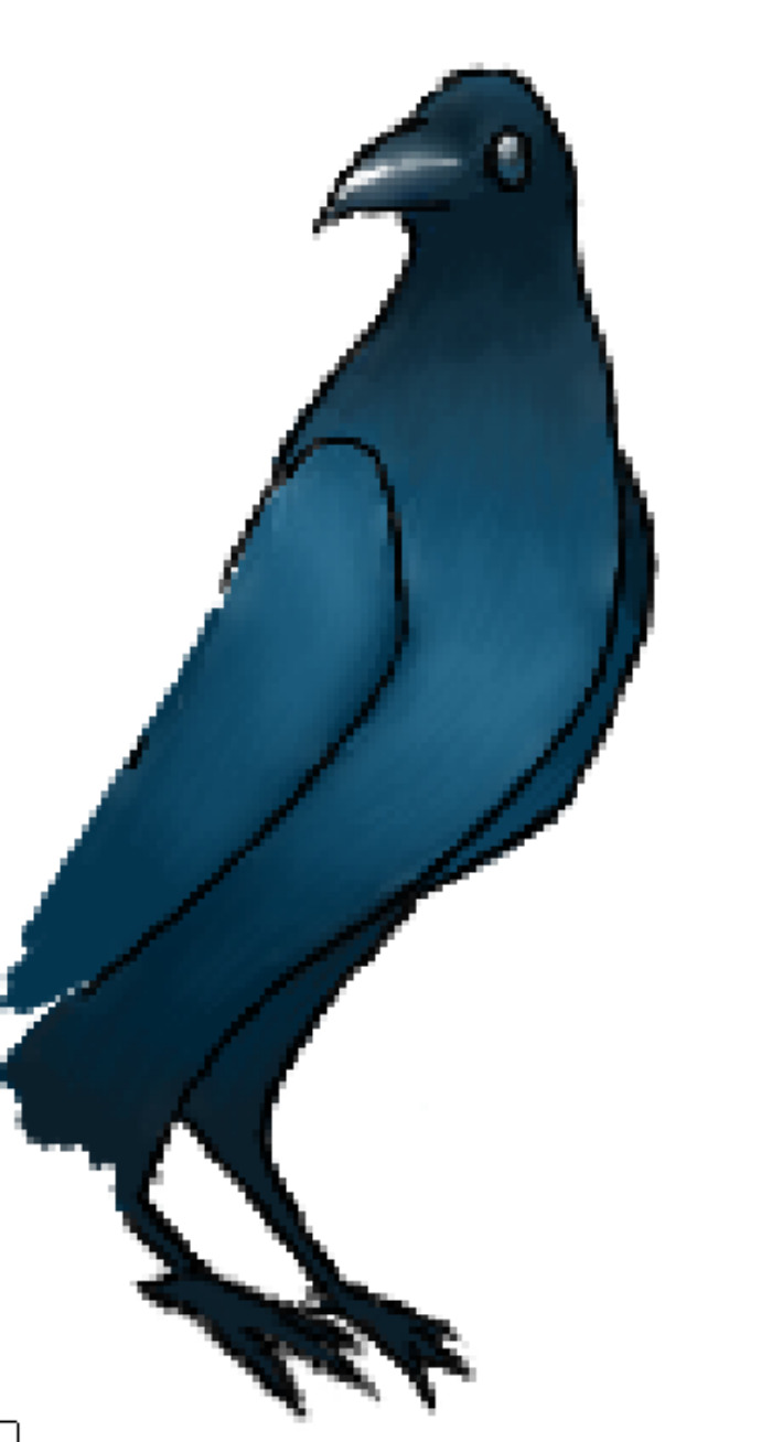 A Raven I Drew In The Background Of An Unfinished Piece