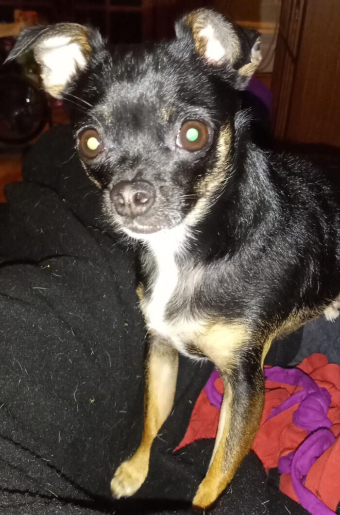 Dhalia. She's Black. So Black Dahlia. After The Famous Murder. I Tell People That I Know Would Be Weirded Out By That, That She Was Named After The Flower. 🤣