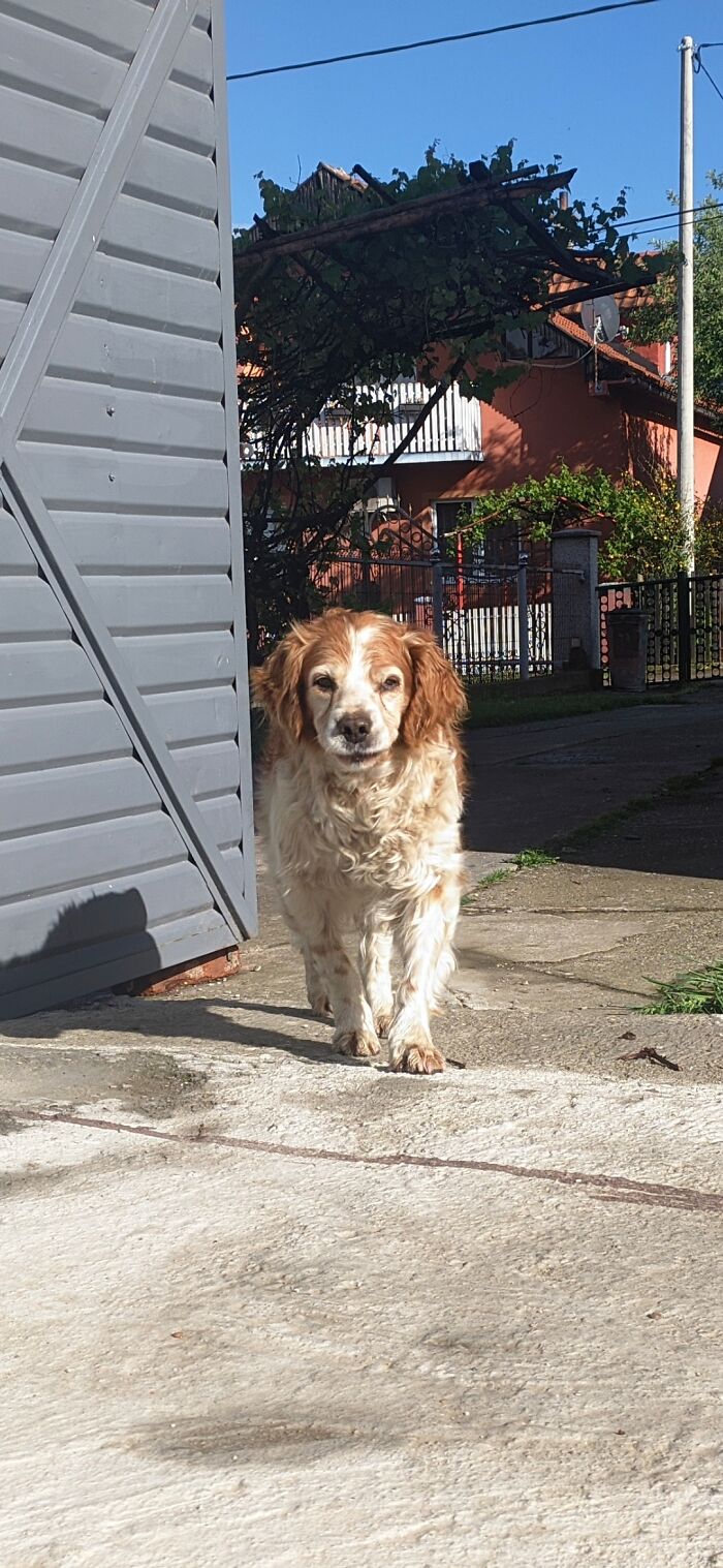 That Look! He's Plotting Something Against Me.