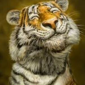 beth_wallace33 avatar