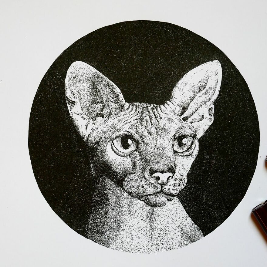 Stippling Illustrations