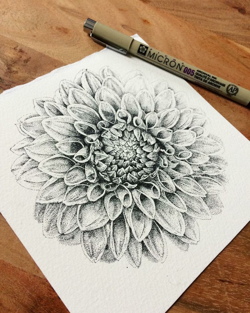 Stippling Illustrations