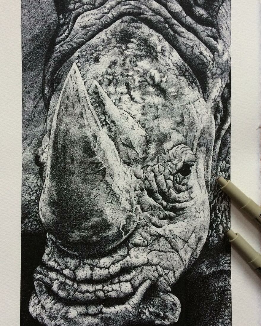 Stippling Illustrations