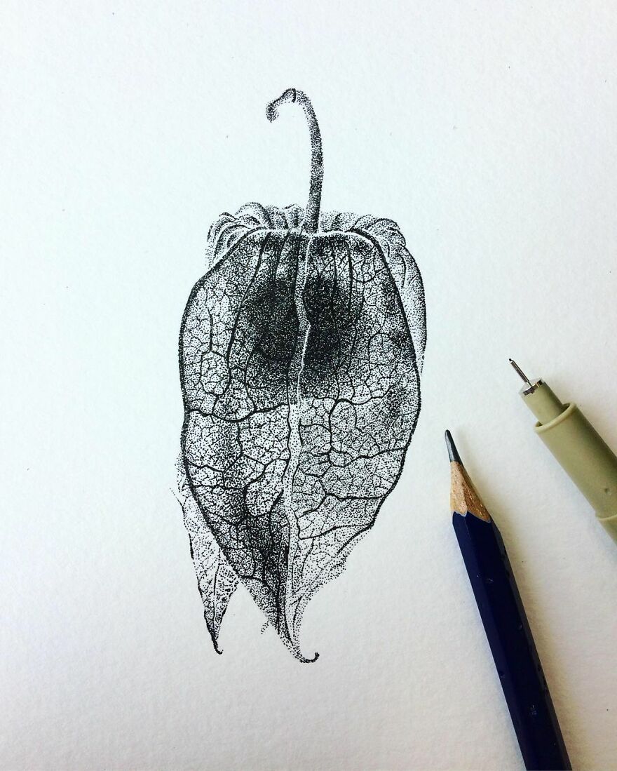 Stippling Illustrations