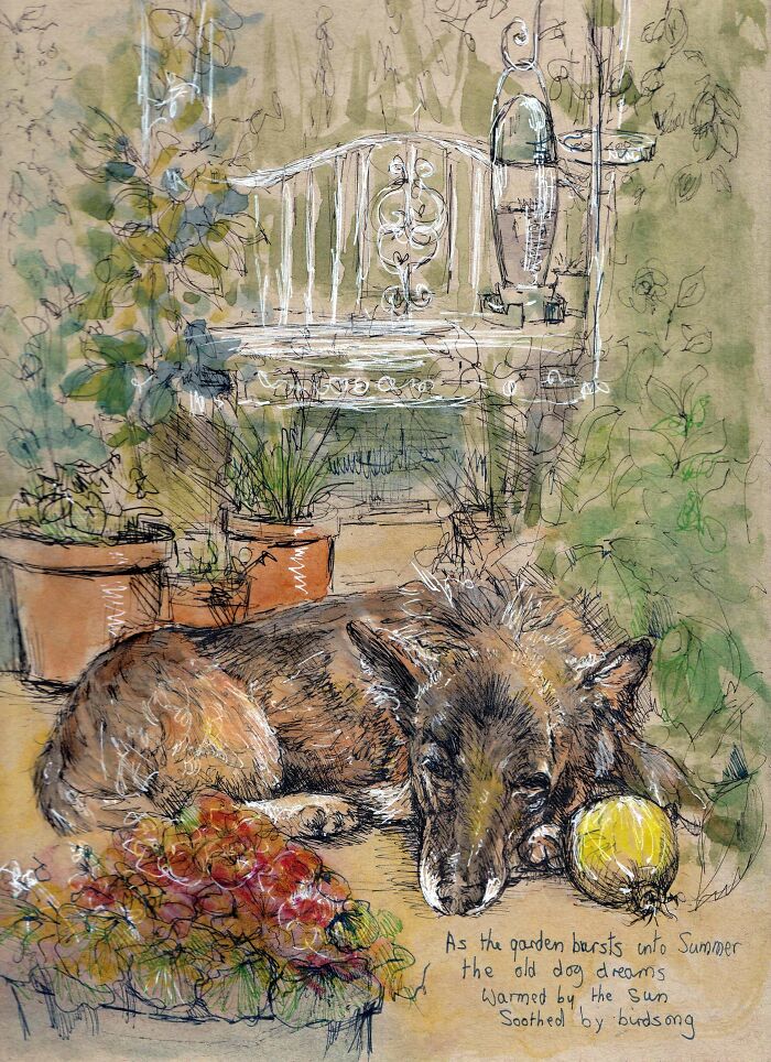 Not The Best But The Latest - In The Garden With The Dog