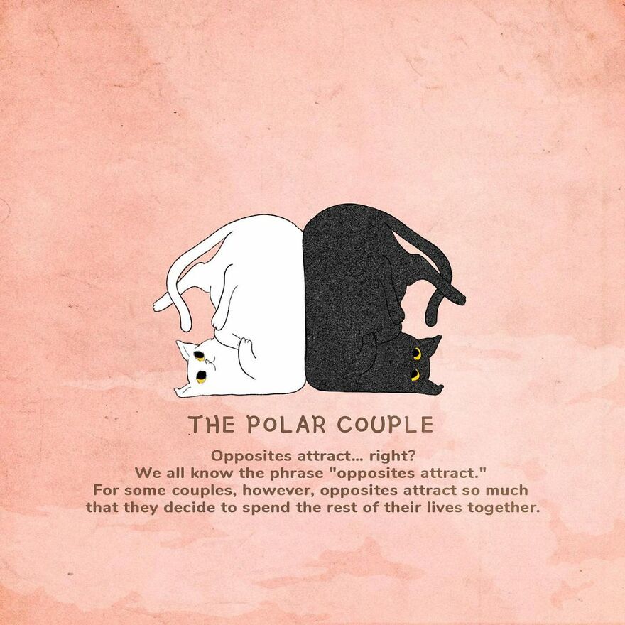 The Delicate And Challenging Art Of Giulia Rosa