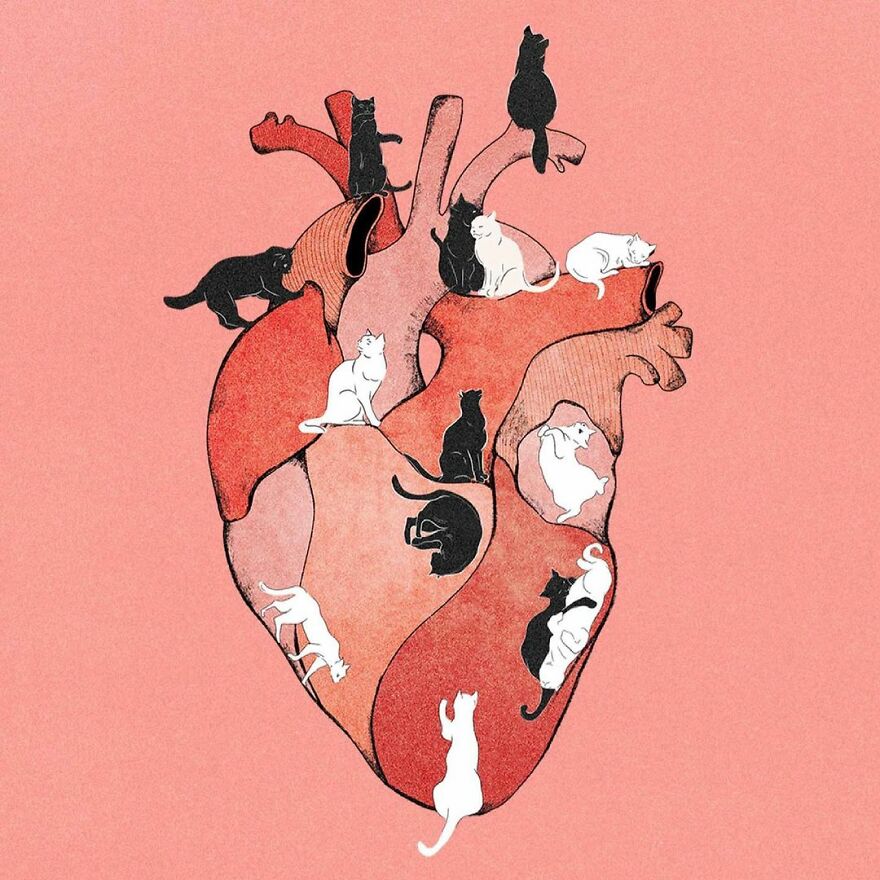 The Delicate And Challenging Art Of Giulia Rosa