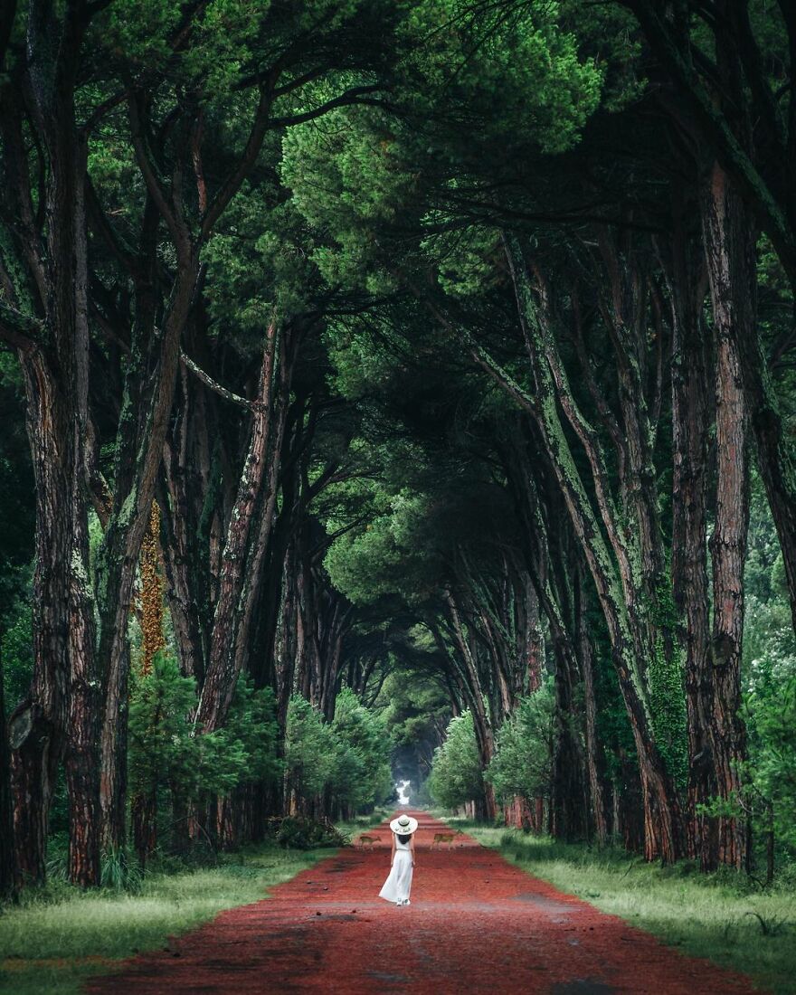 The Photographer Takes Pictures Of Everyday Asia That Our Eyes Would Hardly See