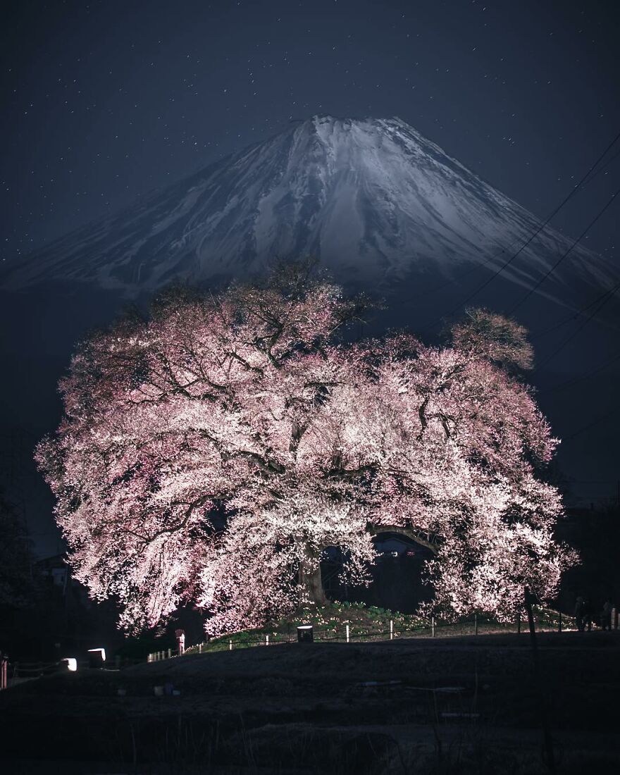 The Photographer Takes Pictures Of Everyday Asia That Our Eyes Would Hardly See