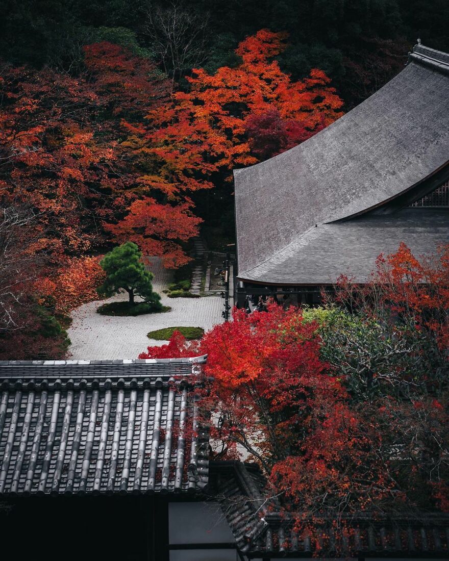 The Photographer Takes Pictures Of Everyday Asia That Our Eyes Would Hardly See