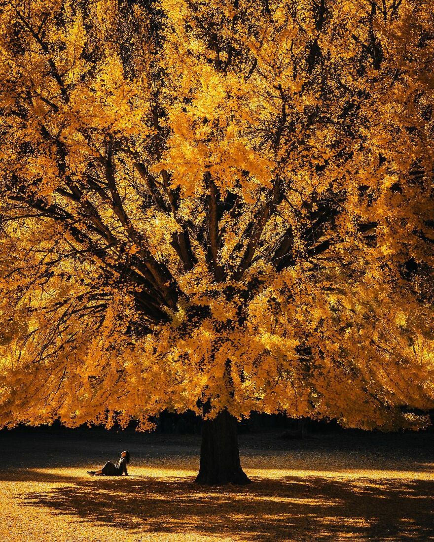 The Photographer Takes Pictures Of Everyday Asia That Our Eyes Would Hardly See