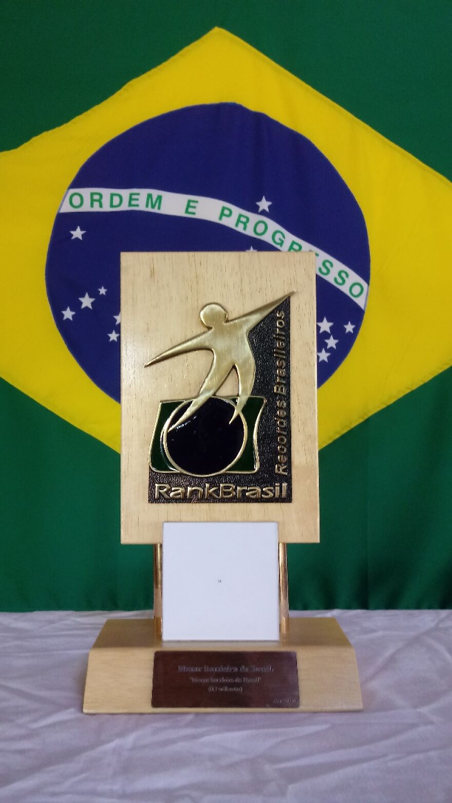 I'm A Brazilian That Creates The World's Smallest Canvases