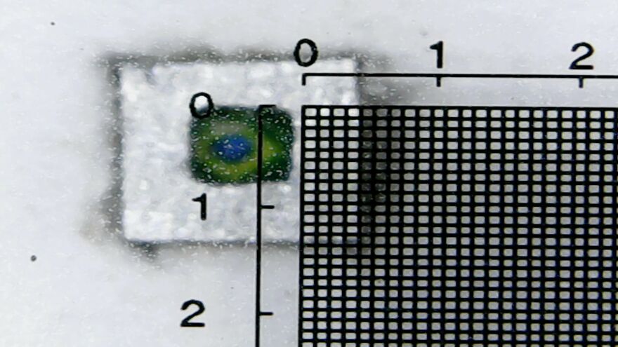 I'm A Brazilian That Creates The World's Smallest Canvases I'm A Brazilian That Creates The World's Smallest Canvases