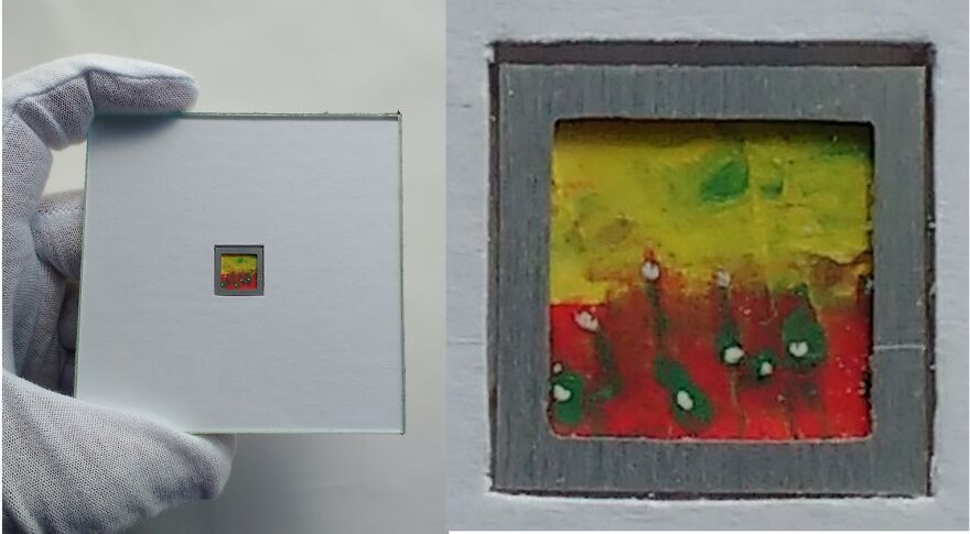 I'm A Brazilian That Creates The World's Smallest Canvases