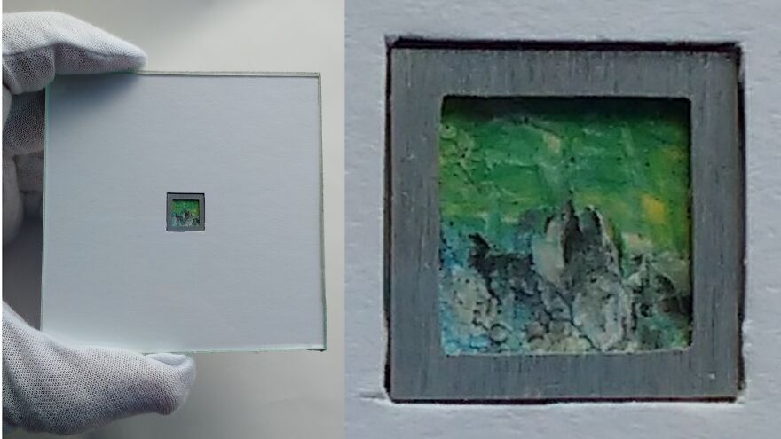 I'm A Brazilian That Creates The World's Smallest Canvases I'm A Brazilian That Creates The World's Smallest Canvases