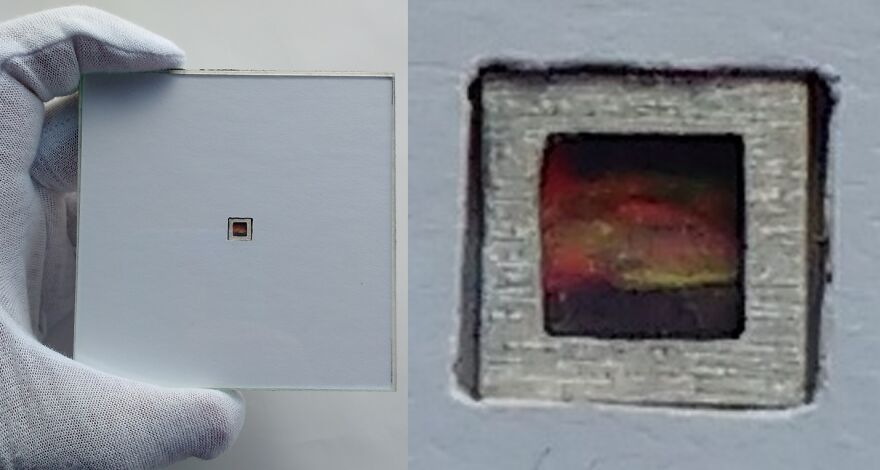 I'm A Brazilian That Creates The World's Smallest Canvases I'm A Brazilian That Creates The World's Smallest Canvases