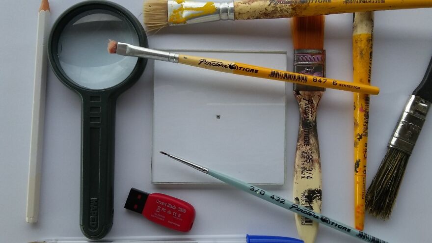 I'm A Brazilian That Creates The World's Smallest Canvases I'm A Brazilian That Creates The World's Smallest Canvases