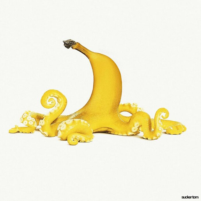 This Artist Can Make Fun Of Anything On His Instagram Account