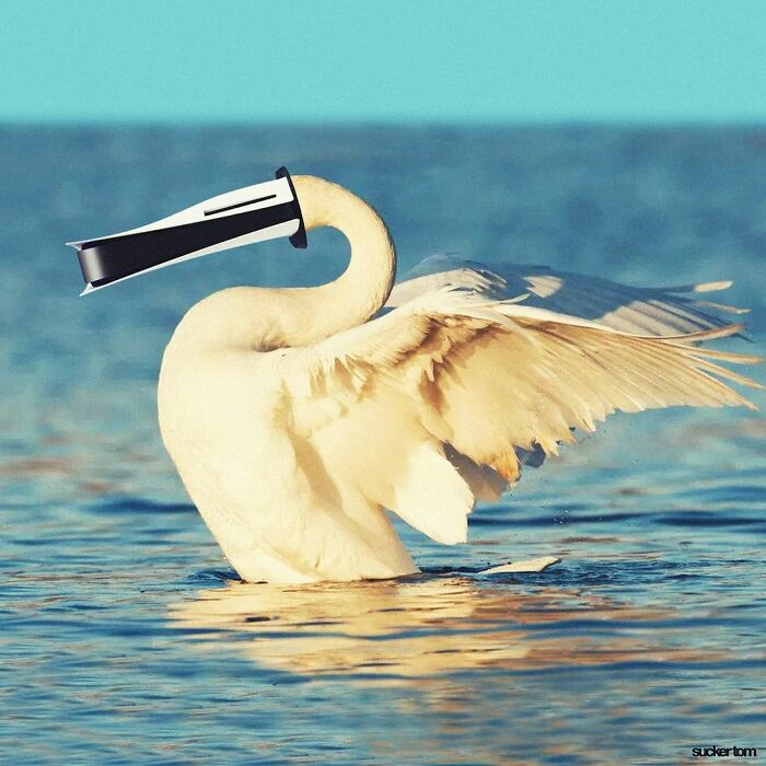 This Artist Can Make Fun Of Anything On His Instagram Account