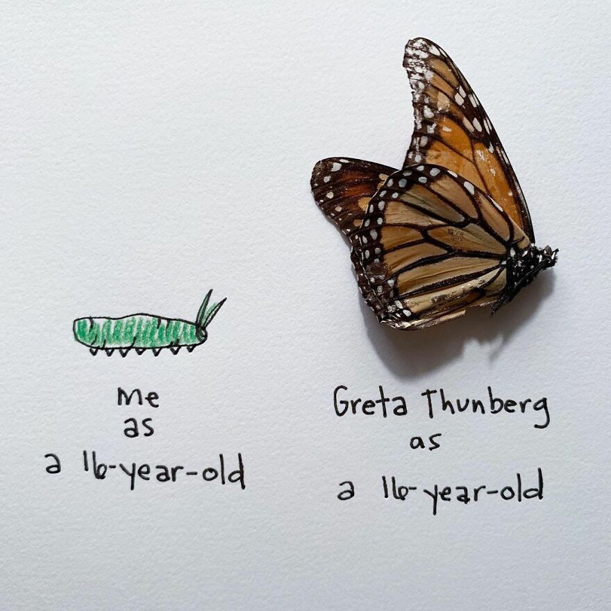 This Artist Makes Art With Dead Insects And 178,000 Instagram Followers Approve