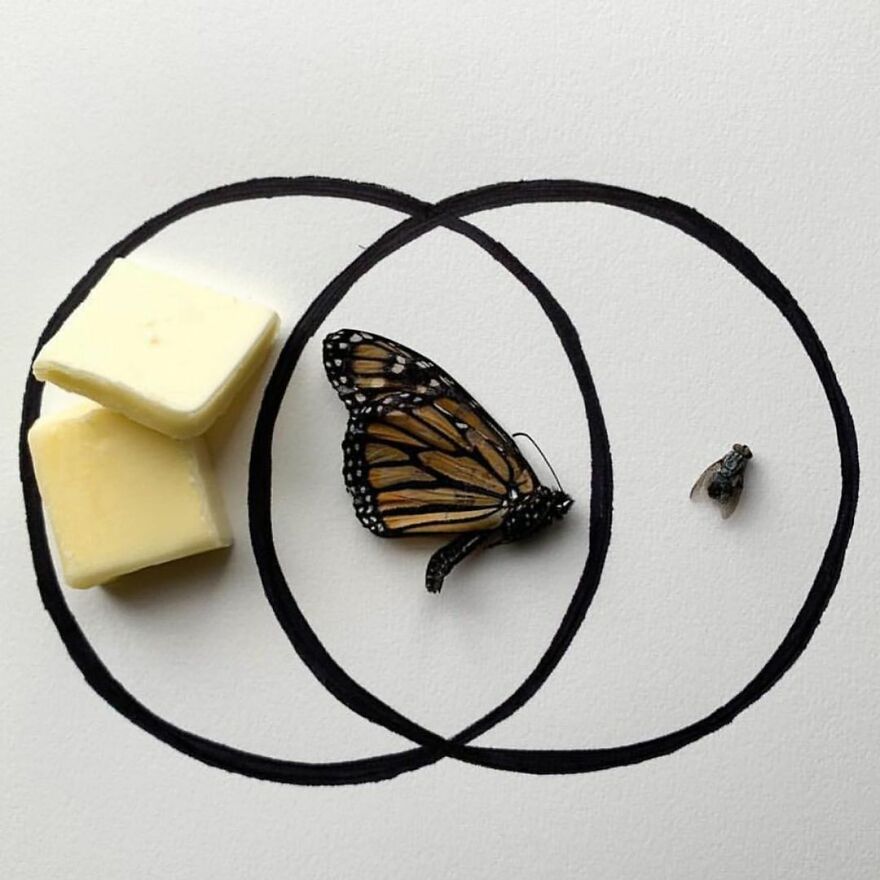 This Artist Makes Art With Dead Insects And 178,000 Instagram Followers Approve