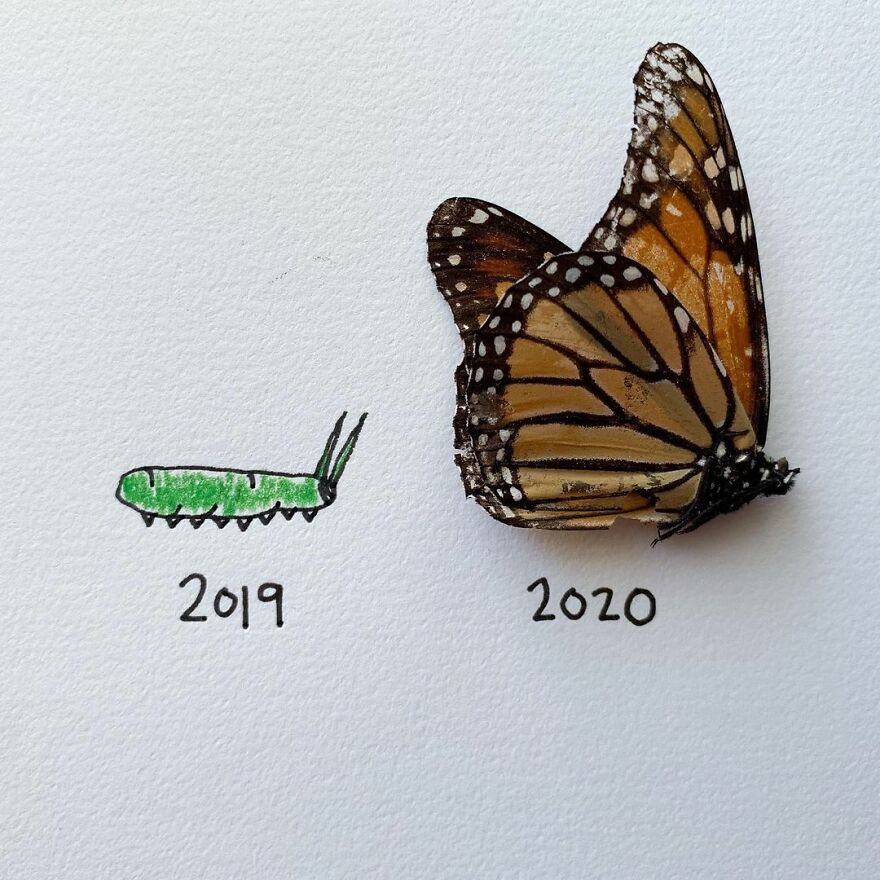 This Artist Makes Art With Dead Insects And 178,000 Instagram Followers Approve