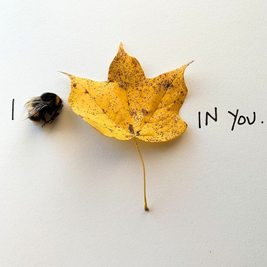 This Artist Makes Art With Dead Insects And 178,000 Instagram Followers Approve