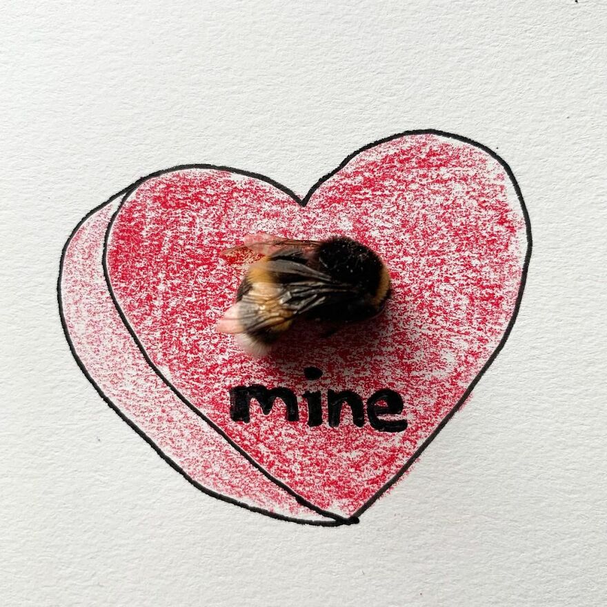 This Artist Makes Art With Dead Insects And 178,000 Instagram Followers Approve