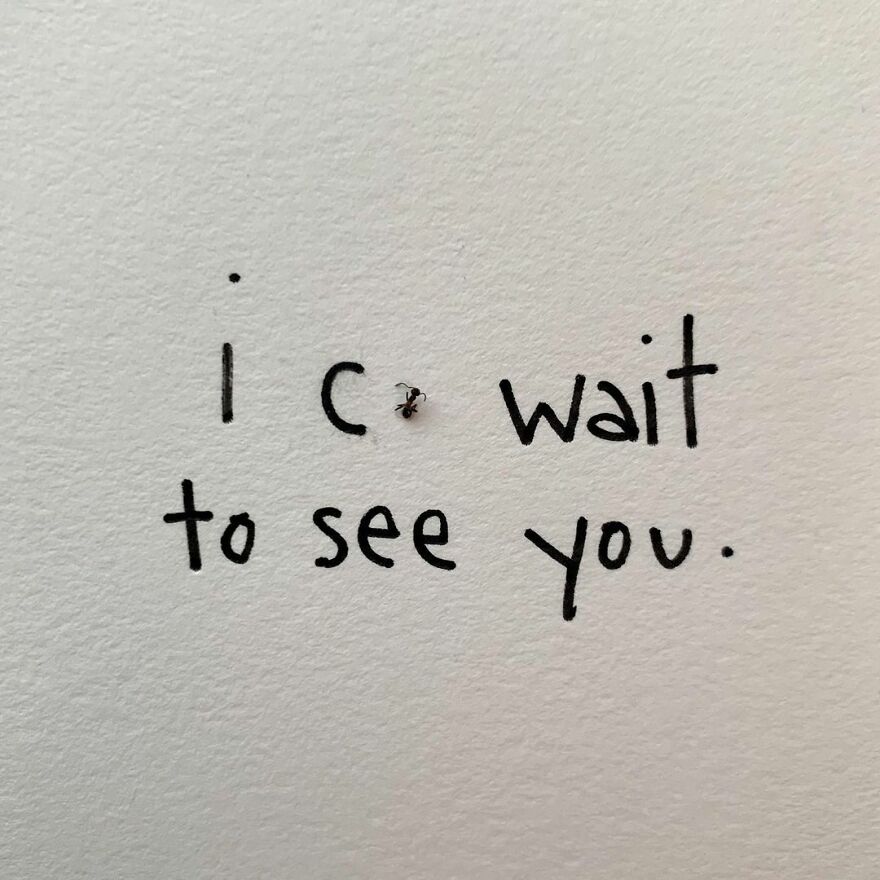 This Artist Makes Art With Dead Insects And 178,000 Instagram Followers Approve