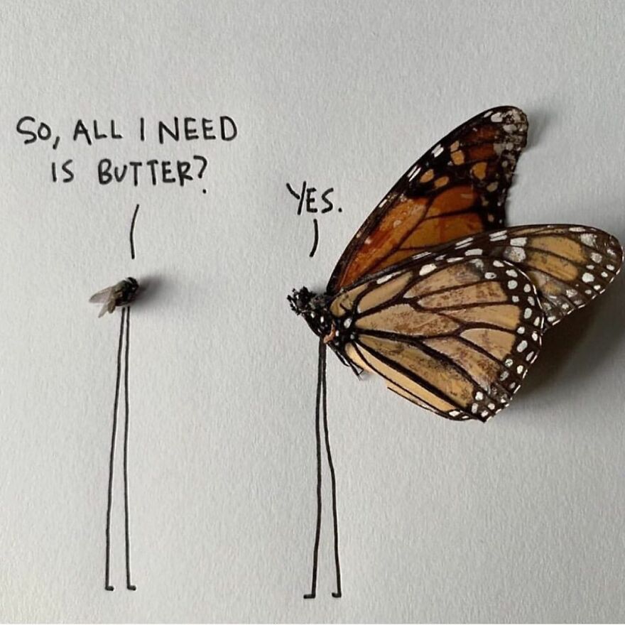 This Artist Makes Art With Dead Insects And 178,000 Instagram Followers Approve