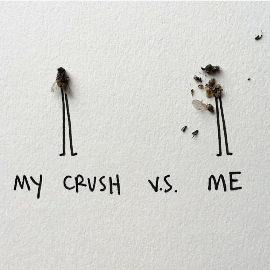 This Artist Makes Art With Dead Insects And 178,000 Instagram Followers Approve