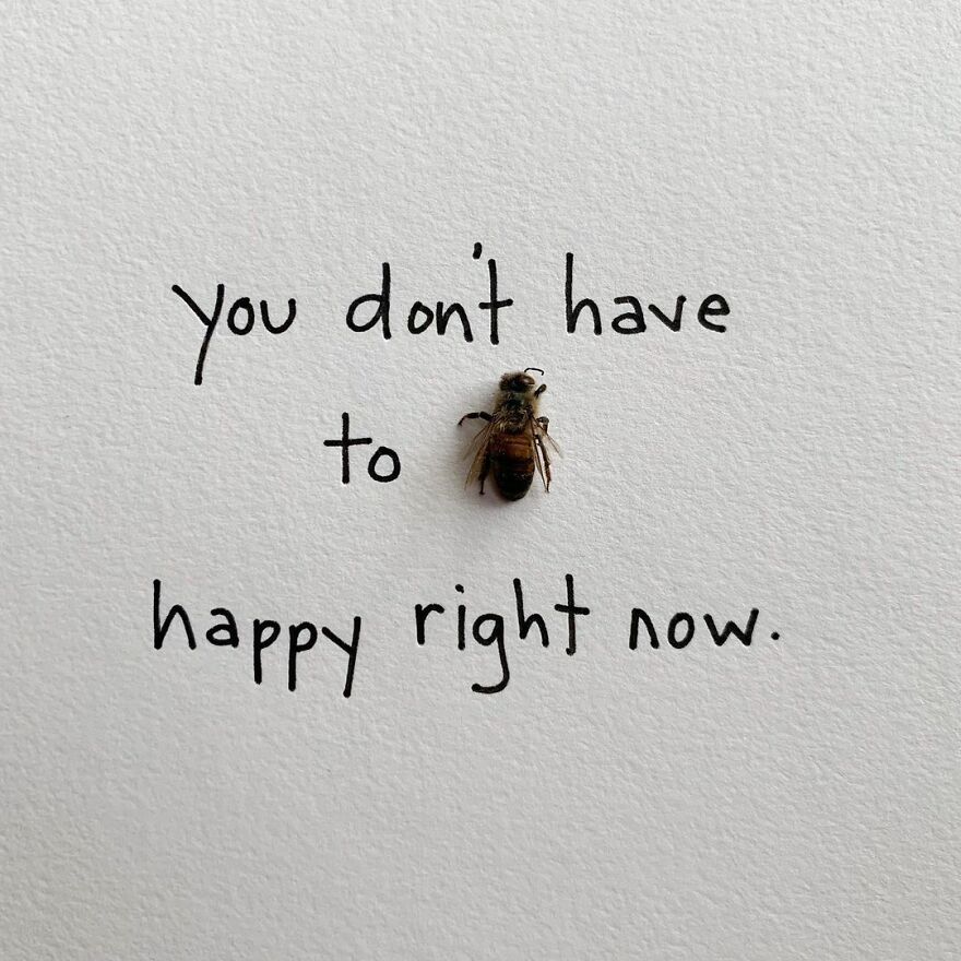 This Artist Makes Art With Dead Insects And 178,000 Instagram Followers Approve