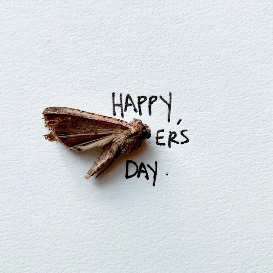 This Artist Makes Art With Dead Insects And 178,000 Instagram Followers Approve