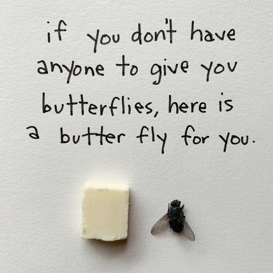 This Artist Makes Art With Dead Insects And 178,000 Instagram Followers Approve